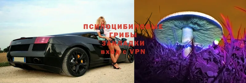 MEGA как войти  Уржум  площадка наркотические препараты  Галлюциногенные грибы MAGIC MUSHROOMS 